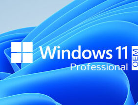 Windows 11 Professional OEM